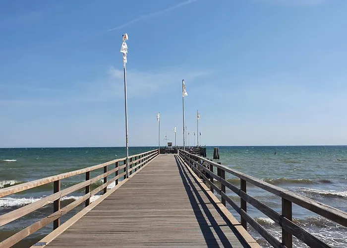 Meerestraum * 다메